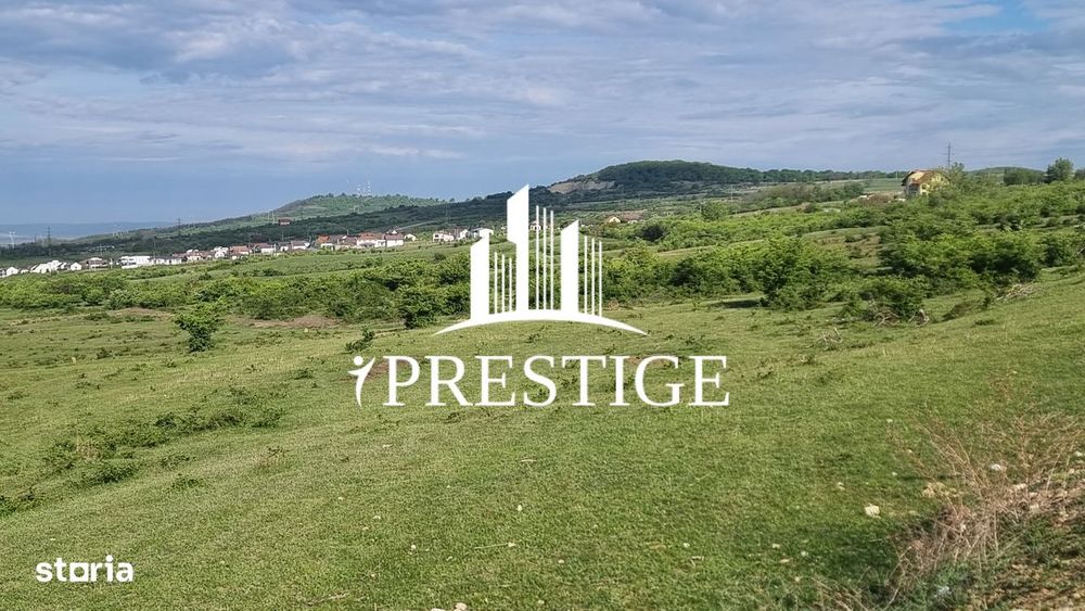 Teren  Extravilan 2000 Mp În Daia - Bavaria | Dealul 2 | Doar 15€/Mp