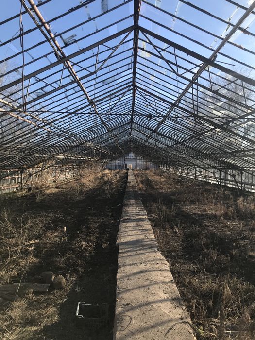 Теплица / тепличный комплекс