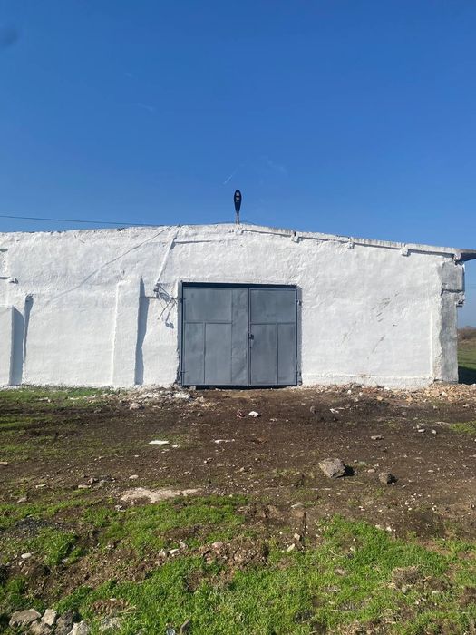 Арендага ферма 50 сотх 400м2 бино берилади викуп, бартер, бўлиб тўлаш