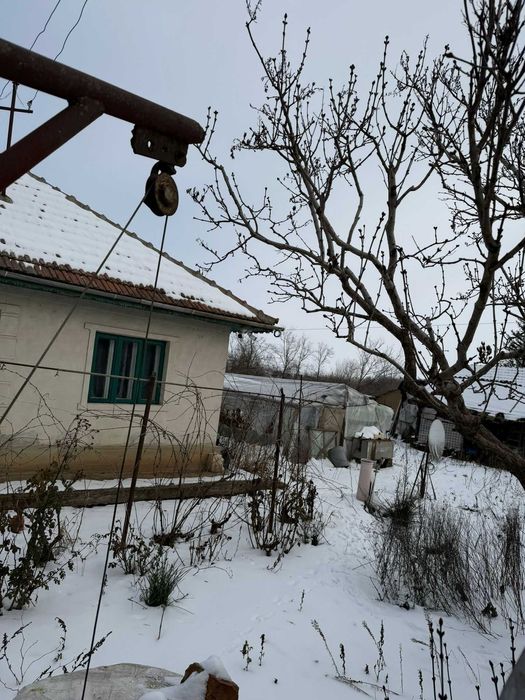 Vând casă la țară Sărulești Sat – curte mare, aproape de București