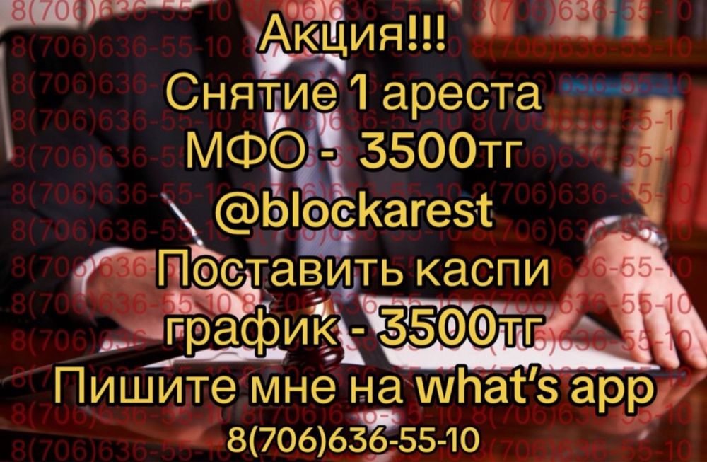 Снятие ареста со счетов / Арест шешу / График МФО И БАНК / ИП отчет