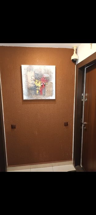 Ofer spre inchiriere/O Cameră