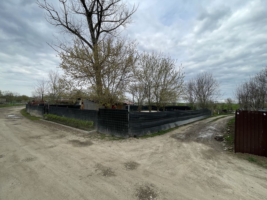 Vand teren 450 mp in micalaca zona Balastiera