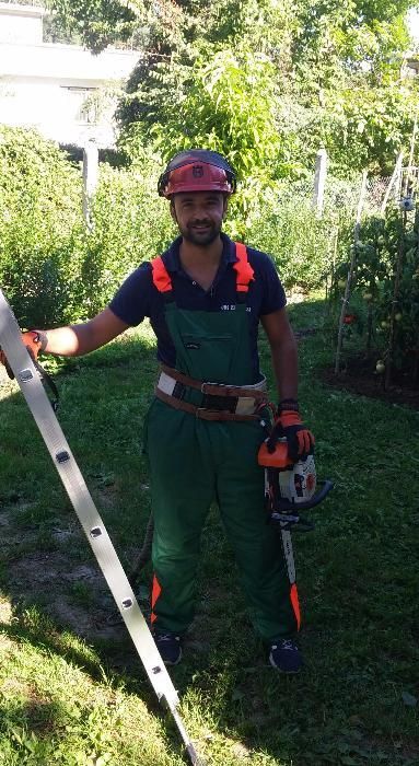 Рязане и премахване на опасни дървета Пловдив щил stihl husqvarna