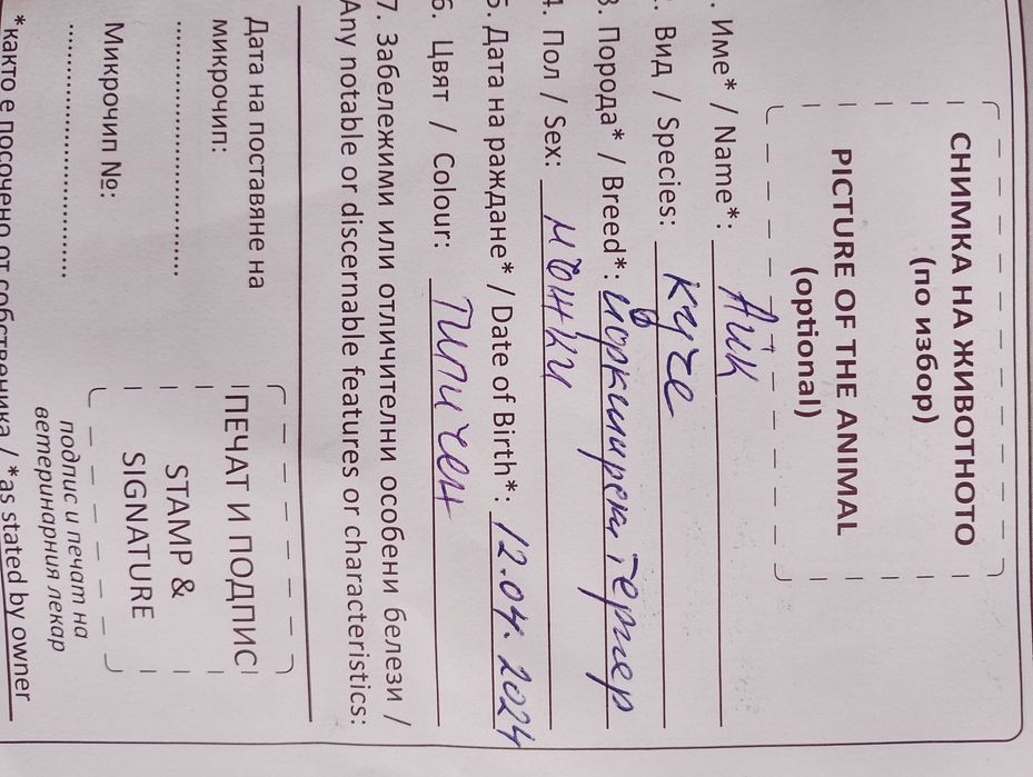 Продава се Сладко и послушно Айки