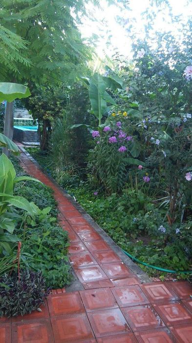 4 ком аренда дома природы