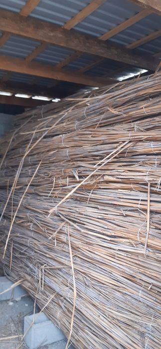 Продам сажанцы и обагреватель