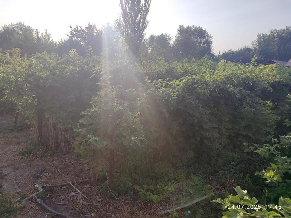 Продам Теплый Дом с большим участком в Балтабае