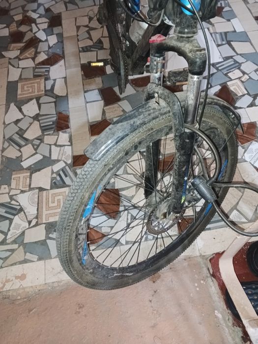 Velasaped srochni sotiladi pul zarul