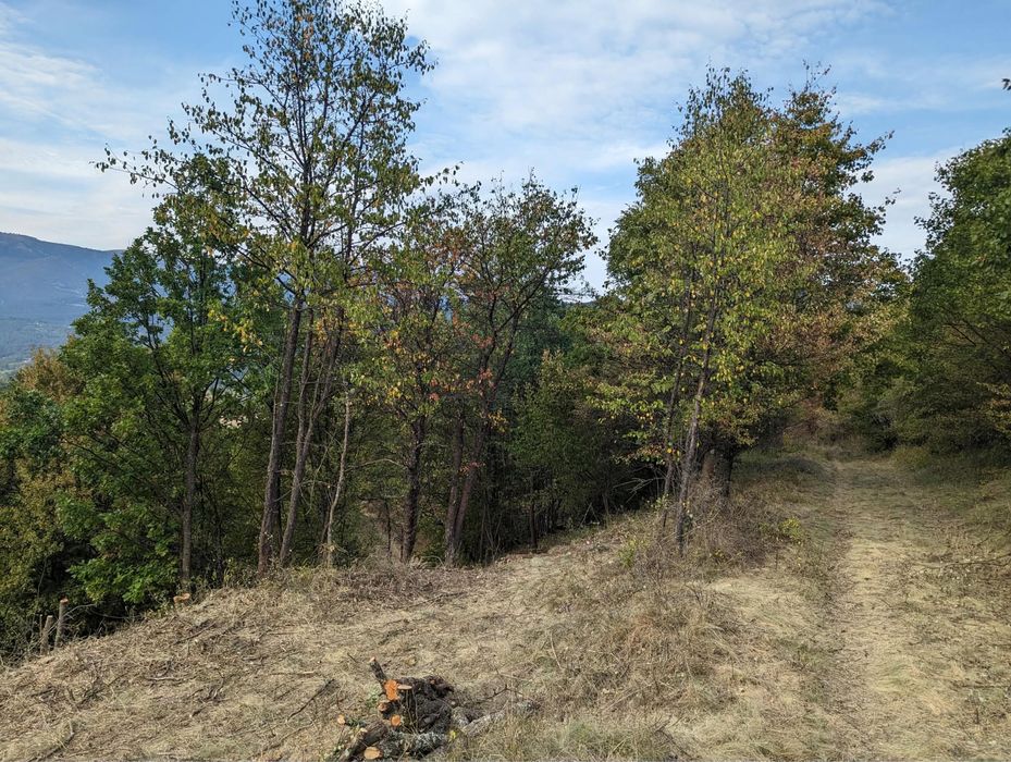 Поземлен имот с. Свидня