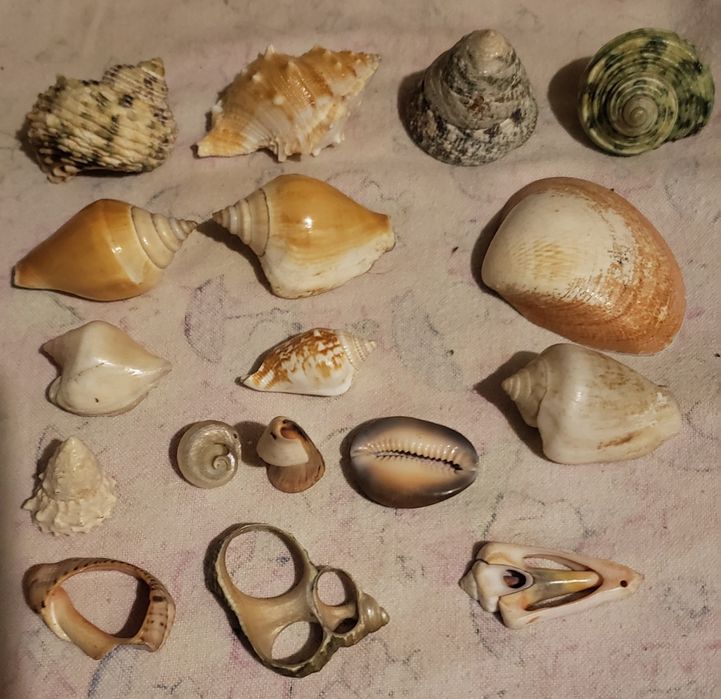 Продам камни для аквариума