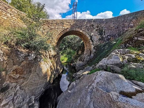 Продава се Парцел в с. Турия, Област Стара Загора - 1227 кв.м за 36 €/кв.м - Снимка #8