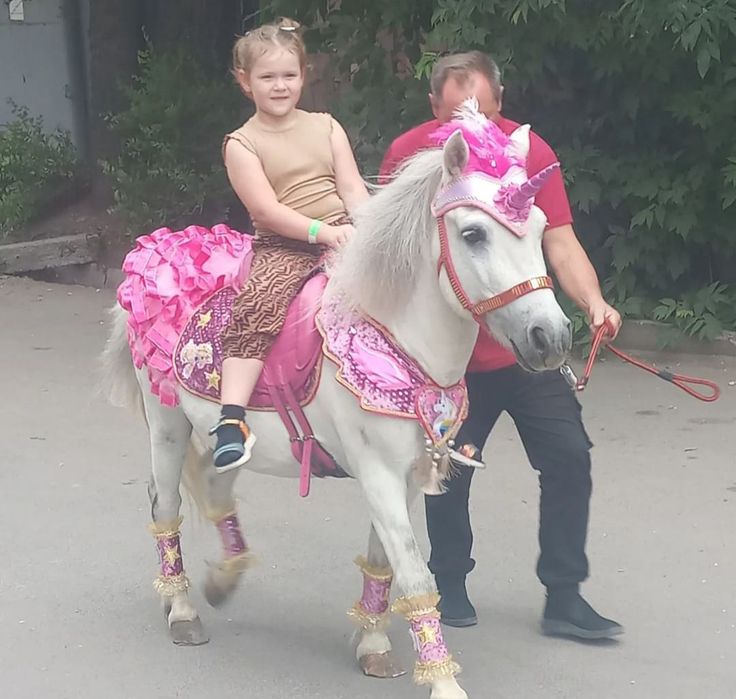 Жеребец Пони на Случку