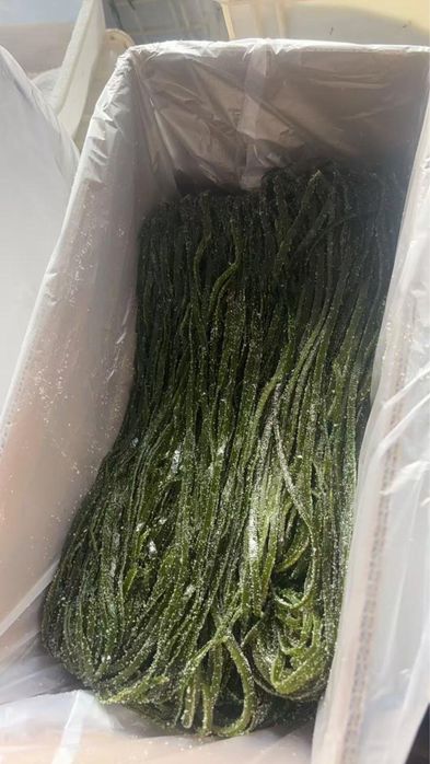 Морская капуста , свежая соленая морская капуста