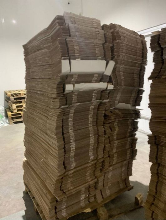 Maklatura, oq qoğoz olamiz