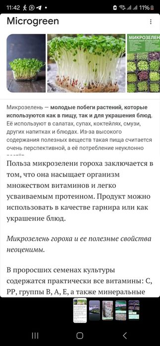 Гидропоника, сити-ферма