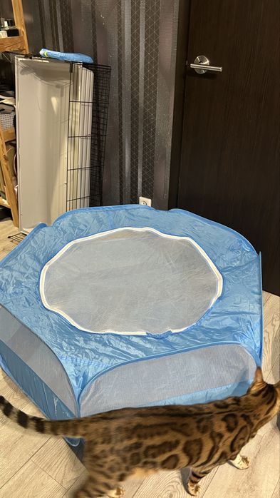 Манеж для животных