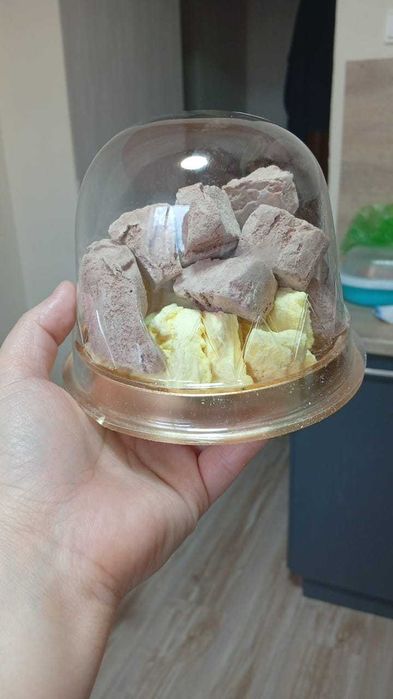 Сублимированное мороженое