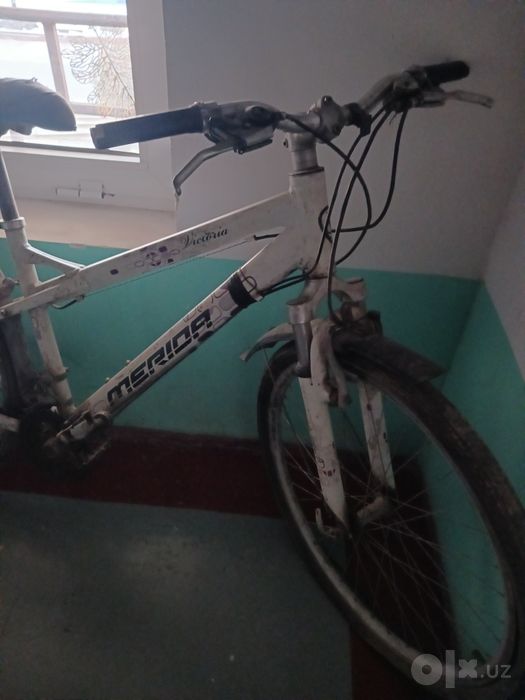 Velik sotiladi judayam sifatli va chidamli velik