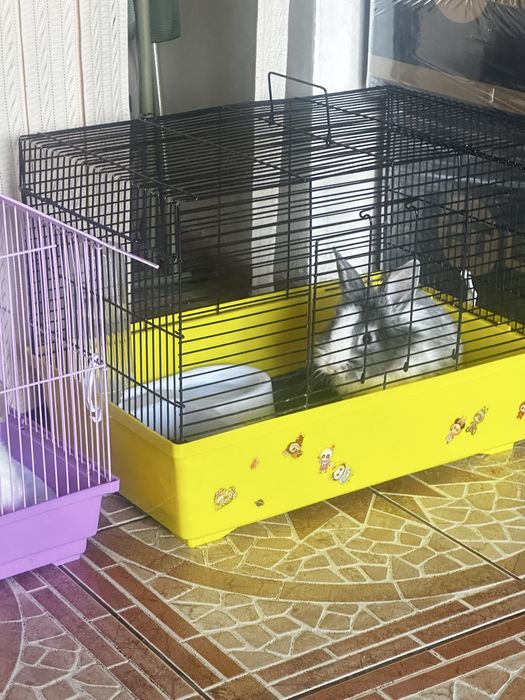 Кролят мальчик и девочка