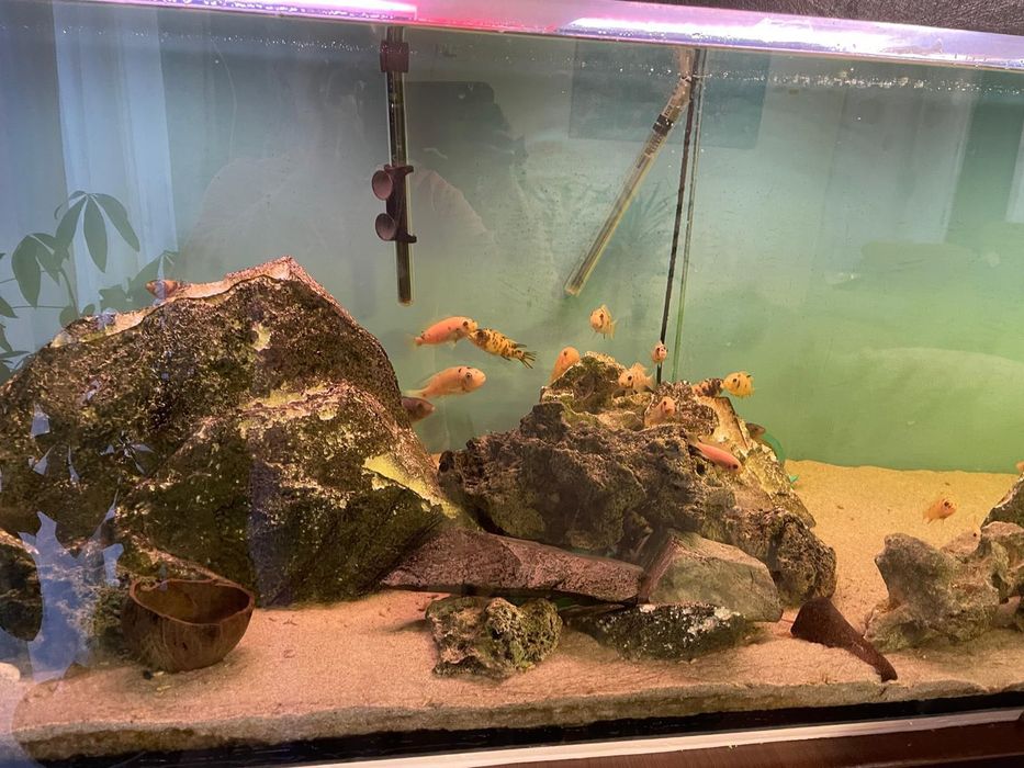 Acvariu 200/60/60 -720 L