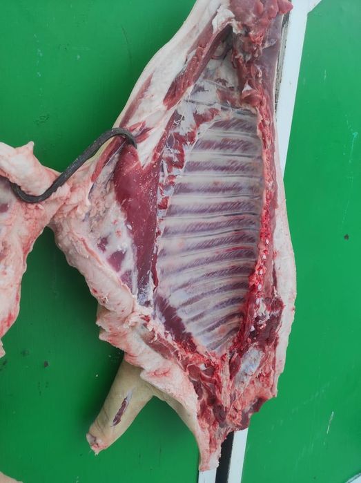 Продам мясо (свинина)