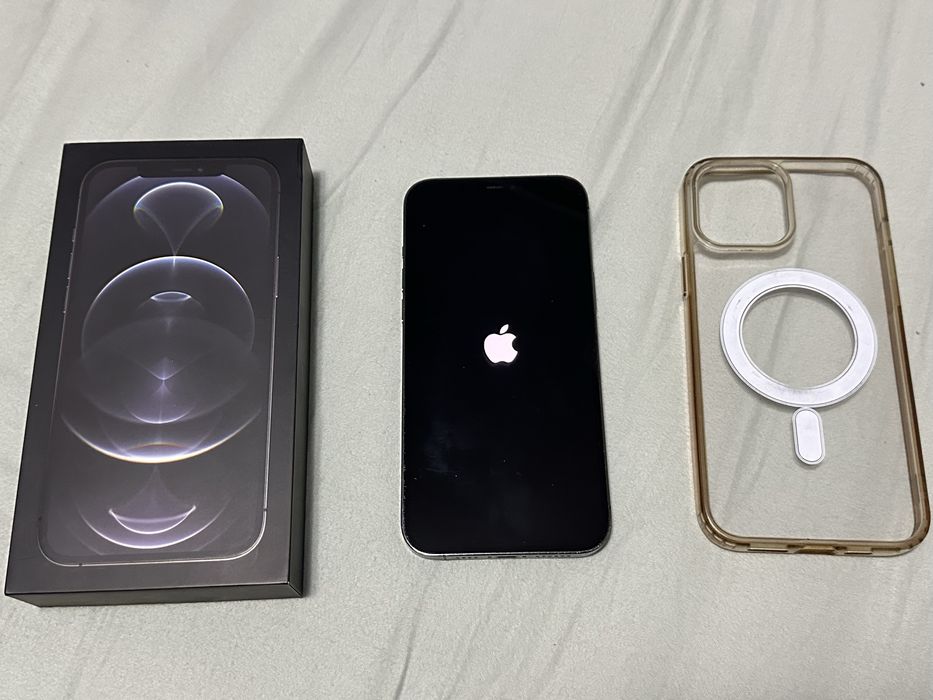 iPhone 12 Pro Max 512