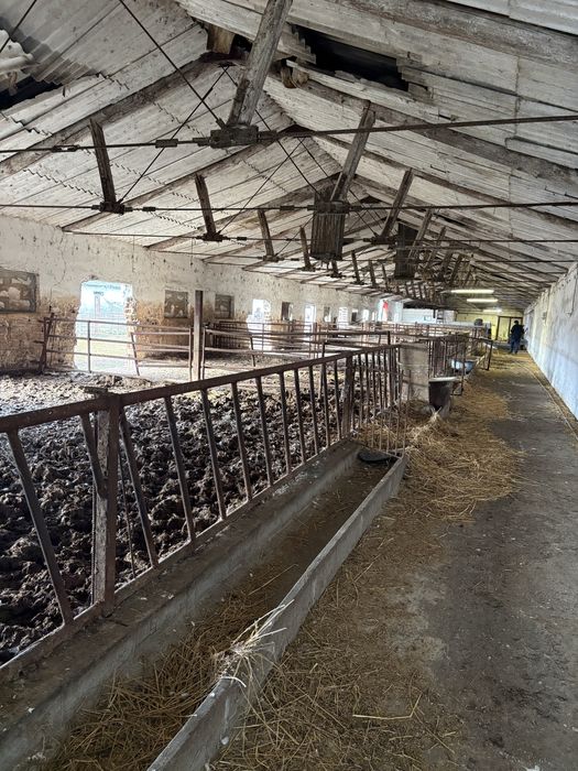 Hala depozitare ferma  80 lungime 12 latimea constructiei +12 /80curte