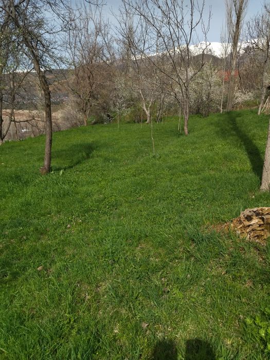 Yer bor srochka sotiladi