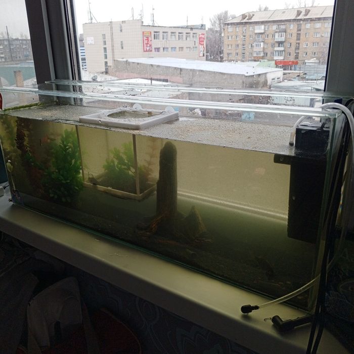 Аквариум с рыбами и декором