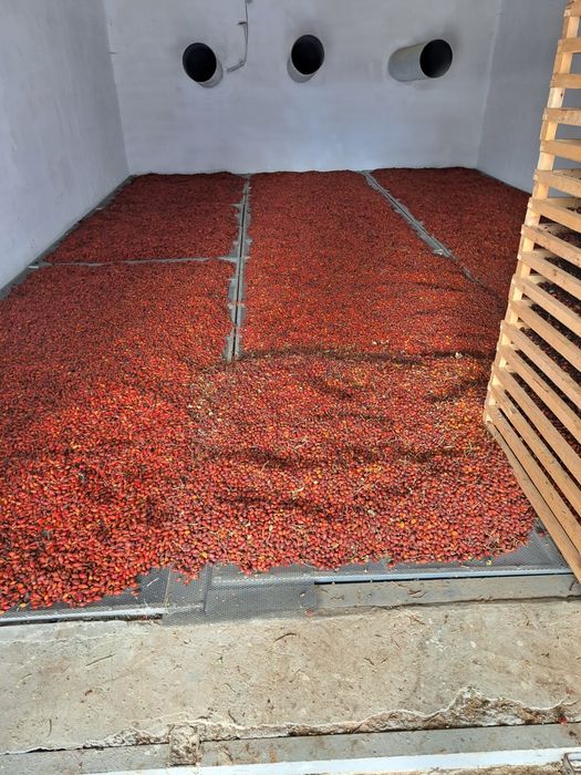 Сушилня за билки гъби плодове