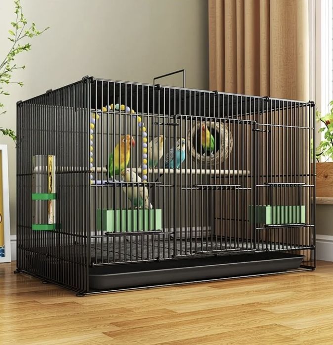 Коетки разные Шымкент