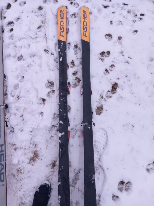 Schiuri Fisher RC 4 vacuum