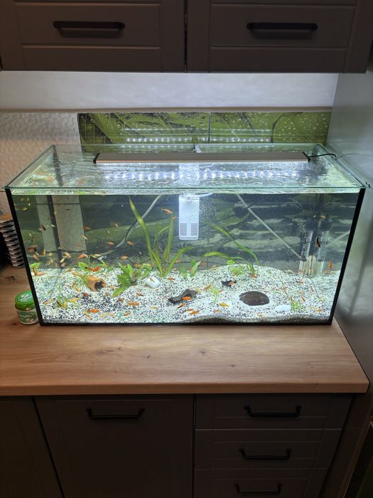 Vand Acvariu de 120 Litri