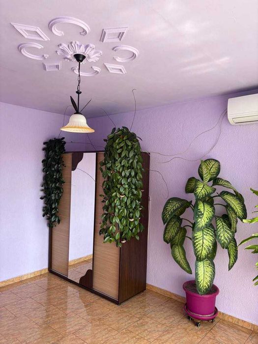 Продава се Двустаен апартамент в Лом - 60 кв.м за 680 €/кв.м - Снимка #14