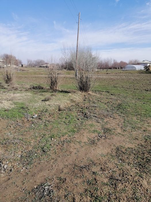 Yer sotiladi  nurobod tumani