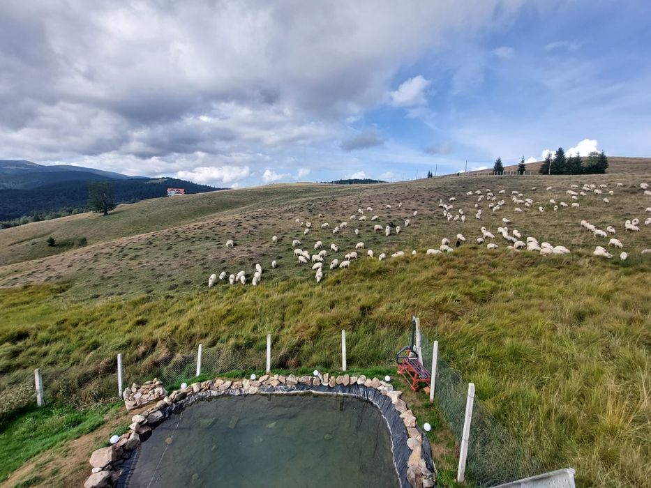 Cabana  de închiriat Păltiniș  jud Sibiu
