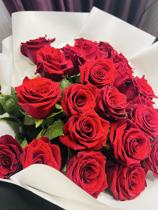 голонские розы 25 шт