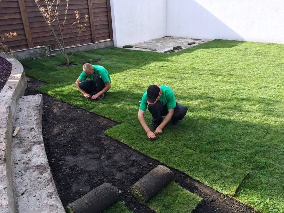 Тайор газон рулонный (установка поливочного системы)