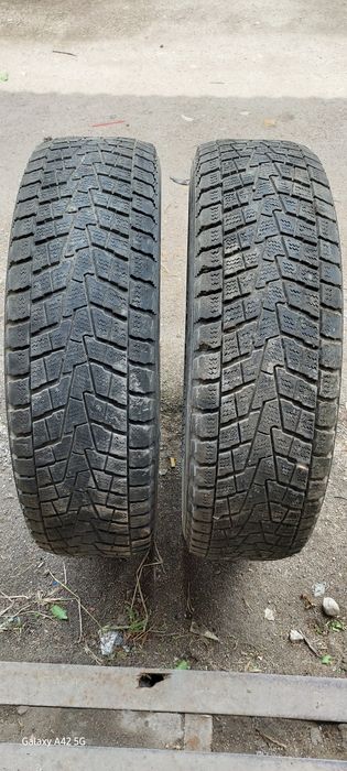 Автомобильные шины