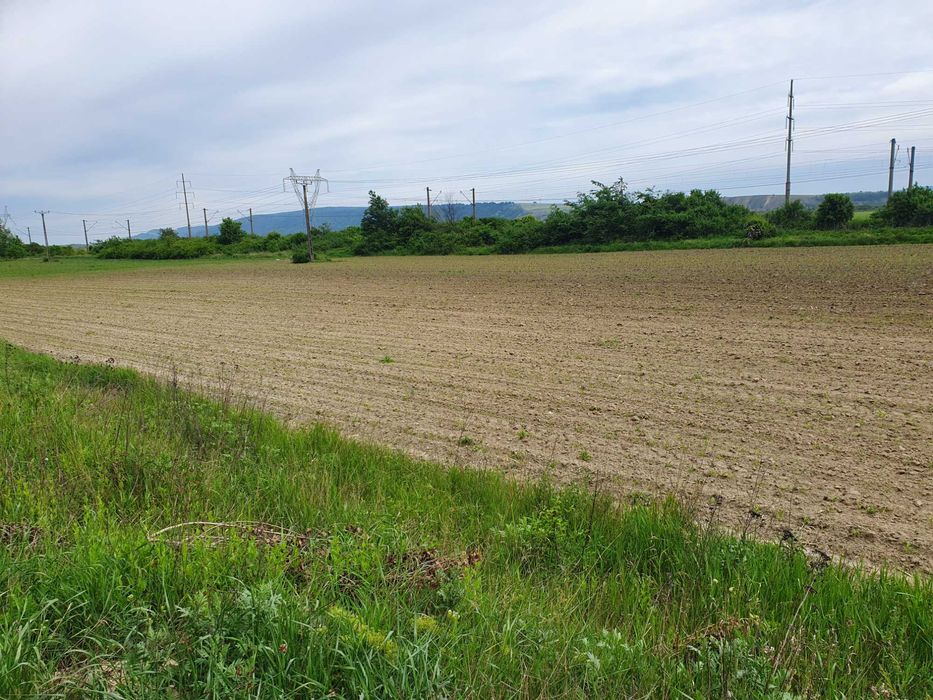 Teren Racaciuni DN2 E85 9300 m2