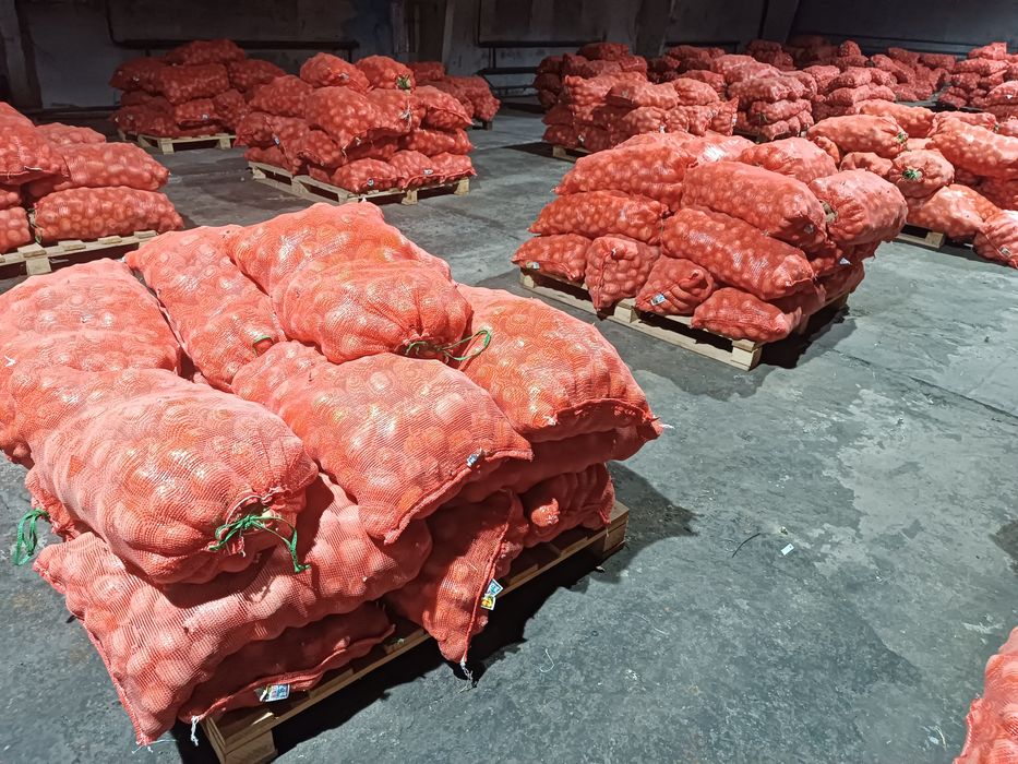 Картошка местная