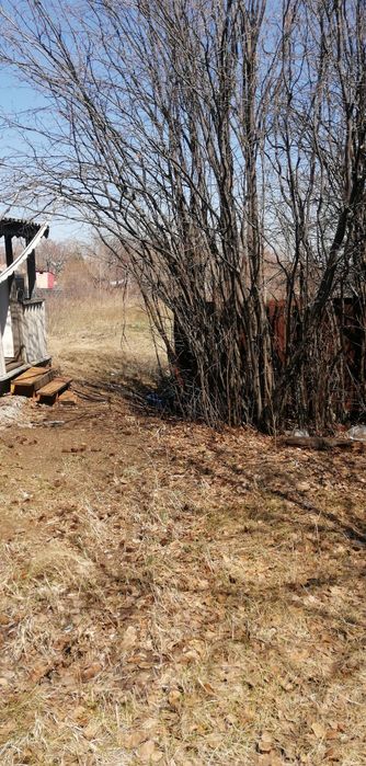 Дача в районе старые дачи