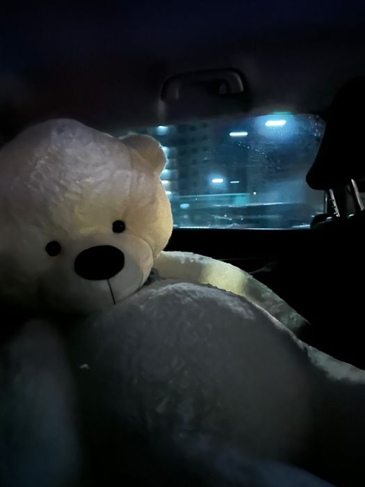 Плюшевая мишка 2 метра