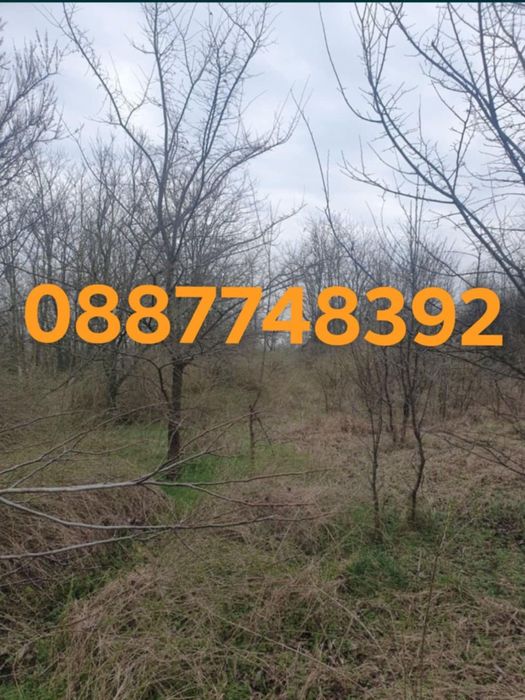 Хамалски Услуги Ниски Цени