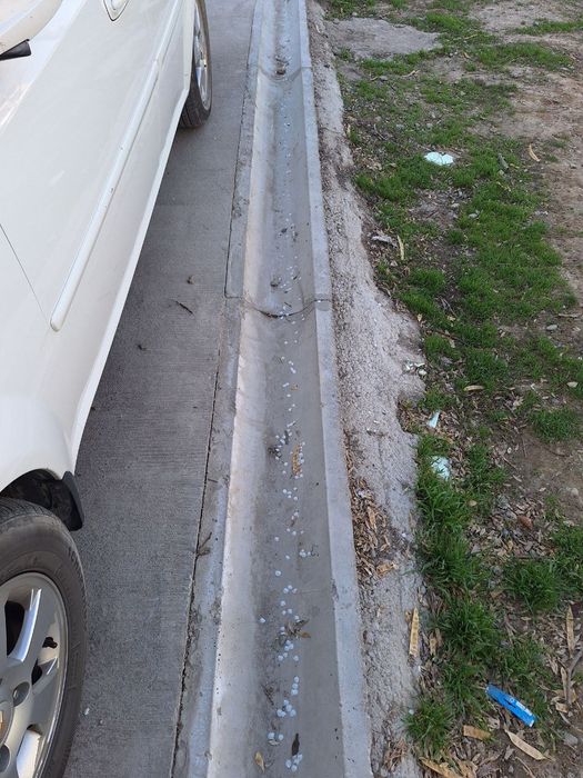 Лоток. Ва лоток копкоклари.  Хар хил олчамда таййор.