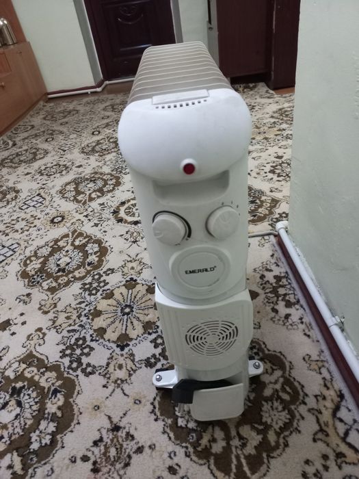 Maslini pech sotiladi arginal