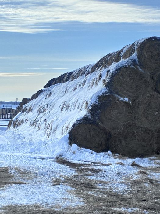 Продам рулоны сена