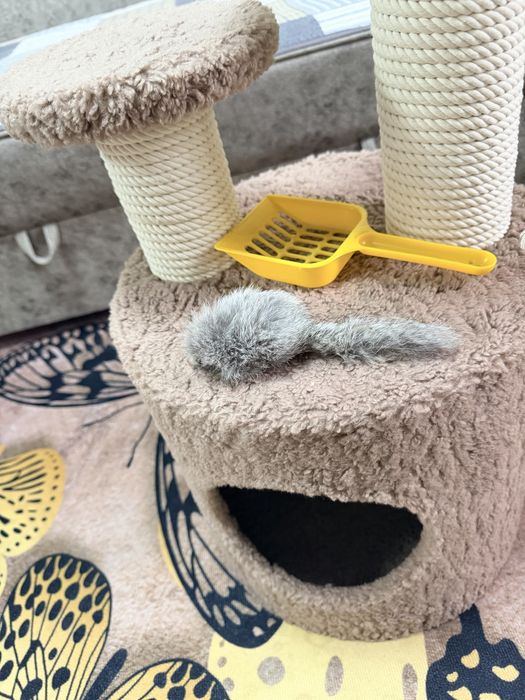 Домик для кошек котов с принадлежностями