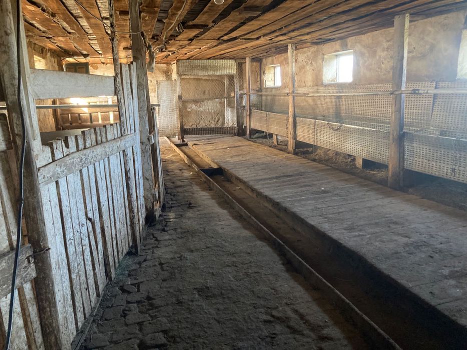 Крестьянское Хозяйство продам